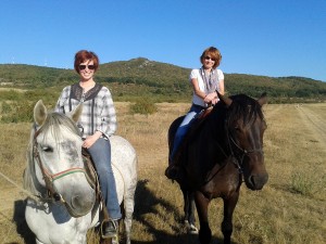 Forest Monuments Tour